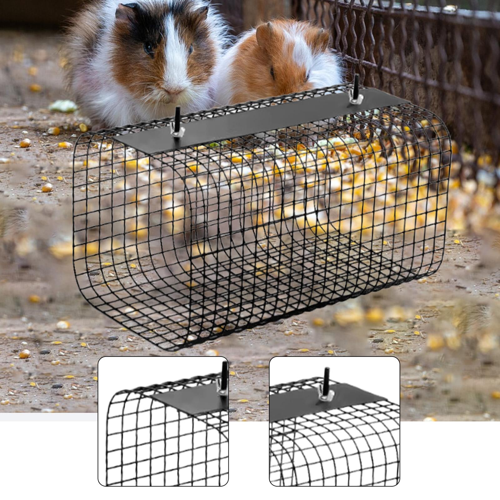 Tunnel Nascondiglio per Furett - Rabbit Cage Wire recensione e prezzo