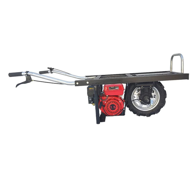 Carrello a mano agricolo da 4. - Agriculture Farming Hand Tools recensione e prezzo