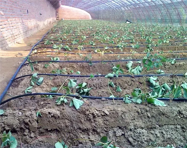 Kit Irrigazione 1HA, Strumento - Agriculture Farming Hand Tools recensione e prezzo